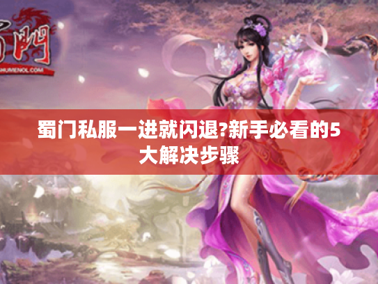 蜀门私服一进就闪退?新手必看的5大解决步骤 蜀门私服一进就闪退?新手必看的5大解决步骤