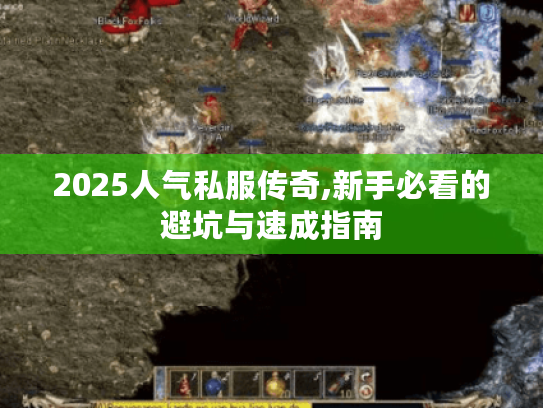 2025人气私服传奇,新手必看的避坑与速成指南