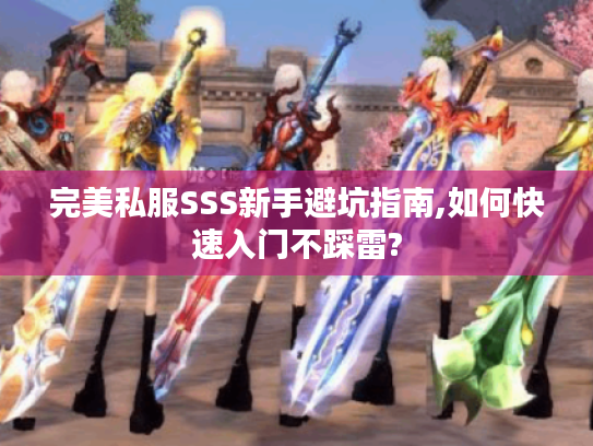 完美私服SSS新手避坑指南,如何快速入门不踩雷?