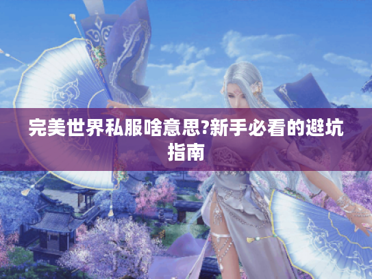 完美世界私服啥意思?新手必看的避坑指南
