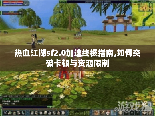 热血江湖sf2.0加速终极指南,如何突破卡顿与资源限制