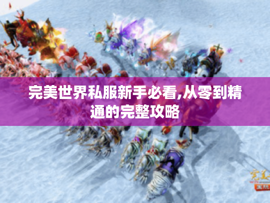 完美世界私服新手必看,从零到精通的完整攻略