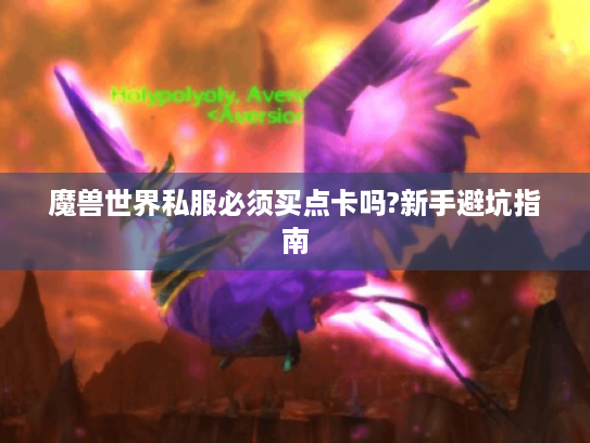 魔兽世界私服必须买点卡吗?新手避坑指南