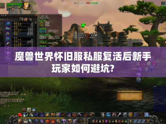 魔兽世界怀旧服私服复活后新手玩家如何避坑? 魔兽世界怀旧服私服复活后新手玩家如何避坑?