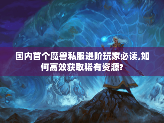 国内首个魔兽私服进阶玩家必读,如何高效获取稀有资源?