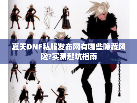 夏天DNF私服发布网有哪些隐藏风险?实测避坑指南