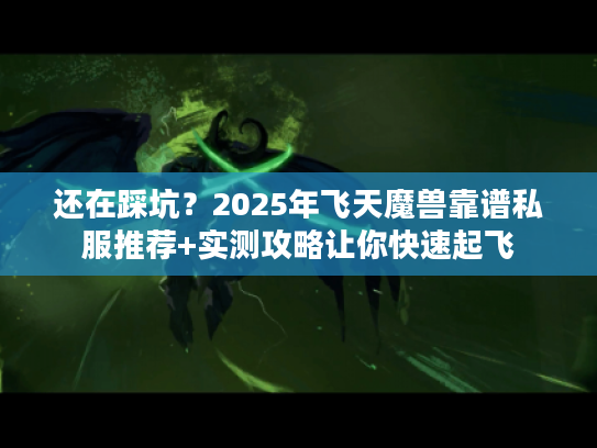 还在踩坑？2025年飞天魔兽靠谱私服推荐+实测攻略让你快速起飞