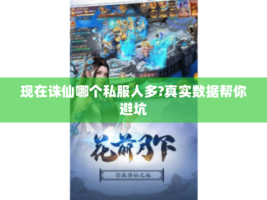 现在诛仙哪个私服人多?真实数据帮你避坑