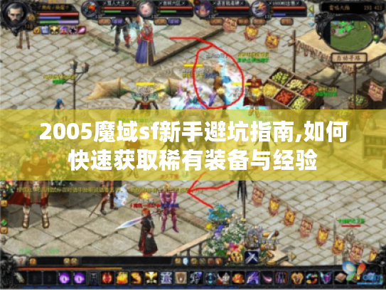 2005魔域sf新手避坑指南,如何快速获取稀有装备与经验
