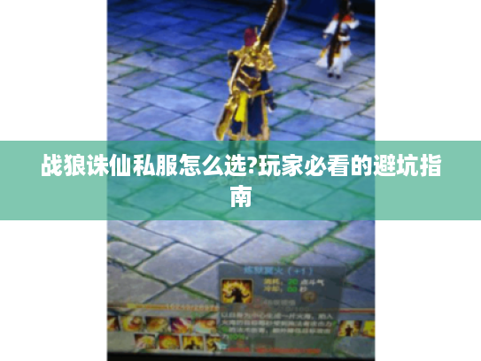 战狼诛仙私服怎么选?玩家必看的避坑指南