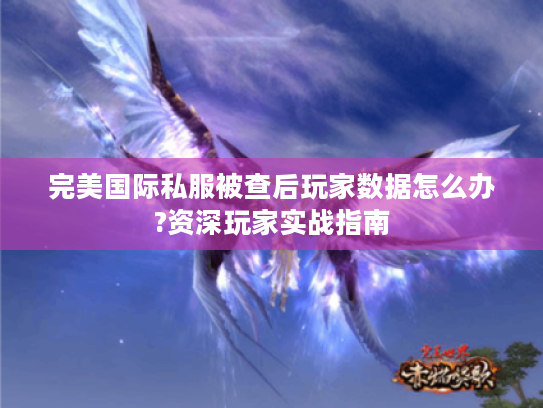 完美国际私服被查后玩家数据怎么办?资深玩家实战指南