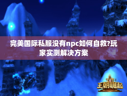 完美国际私服没有npc如何自救?玩家实测解决方案