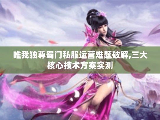 唯我独尊蜀门私服运营难题破解,三大核心技术方案实测