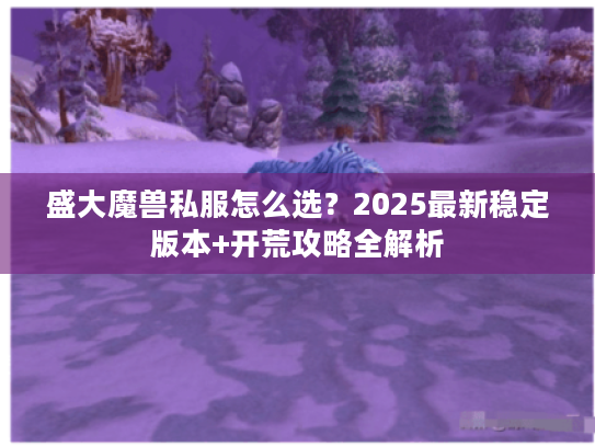 盛大魔兽私服怎么选？2025最新稳定版本+开荒攻略全解析