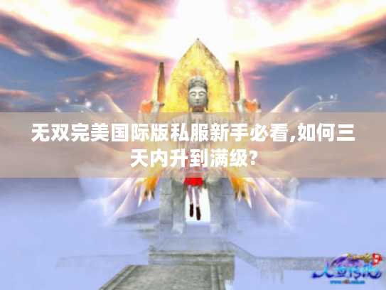 无双完美国际版私服新手必看,如何三天内升到满级?