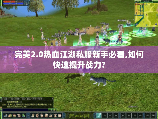 完美2.0热血江湖私服新手必看,如何快速提升战力? 完美2.0热血江湖私服新手必看,如何快速提升战力?