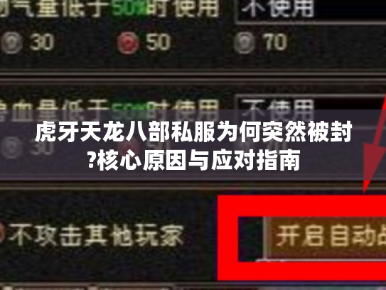 虎牙天龙八部私服为何突然被封?核心原因与应对指南 虎牙天龙八部私服为何突然被封?核心原因与应对指南
