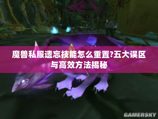 魔兽私服遗忘技能怎么重置?五大误区与高效方法揭秘