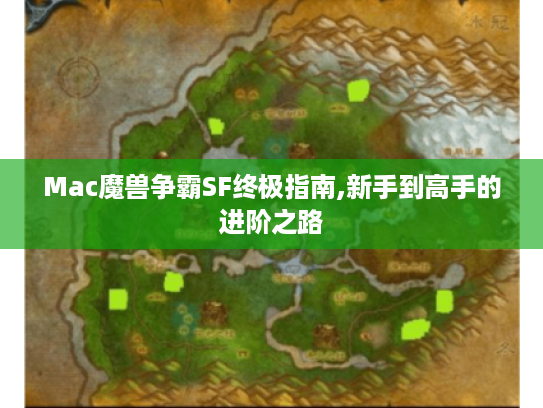 Mac魔兽争霸SF终极指南,新手到高手的进阶之路 Mac魔兽争霸SF终极指南,新手到高手的进阶之路
