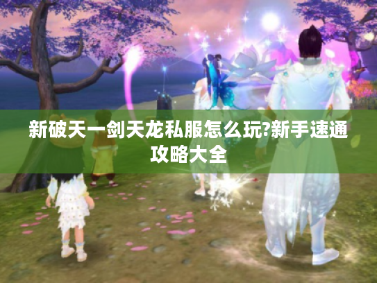 新破天一剑天龙私服怎么玩?新手速通攻略大全