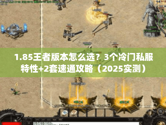 1.85王者版本怎么选？3个冷门私服特性+2套速通攻略（2025实测）
