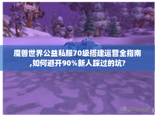 魔兽世界公益私服70级搭建运营全指南,如何避开90%新人踩过的坑?
