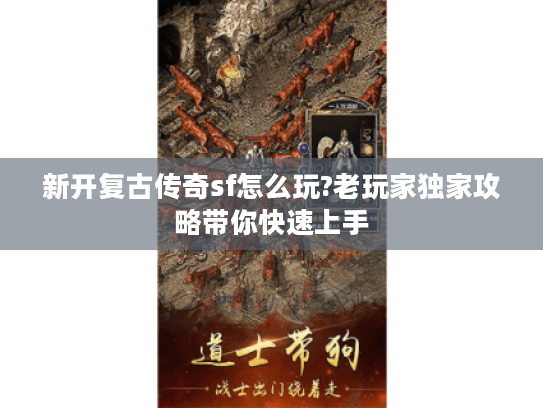 新开复古传奇sf怎么玩?老玩家独家攻略带你快速上手