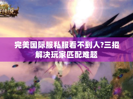 完美国际服私服看不到人?三招解决玩家匹配难题