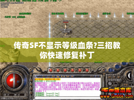 传奇SF不显示等级血条?三招教你快速修复补丁