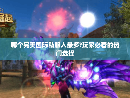 哪个完美国际私服人最多?玩家必看的热门选择