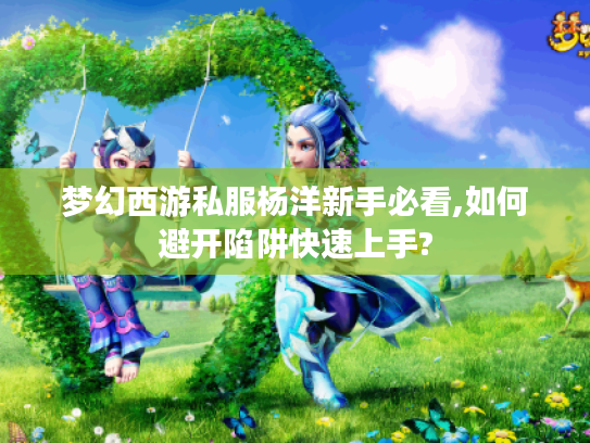 梦幻西游私服杨洋新手必看,如何避开陷阱快速上手?