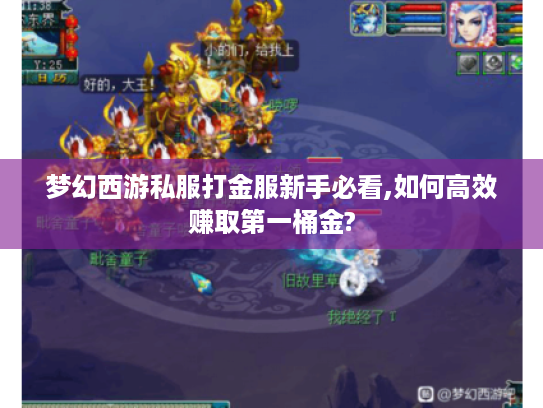 梦幻西游私服打金服新手必看,如何高效赚取第一桶金? 梦幻西游私服打金服新手必看,如何高效赚取第一桶金?