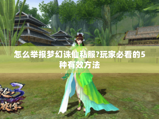 怎么举报梦幻诛仙私服?玩家必看的5种有效方法