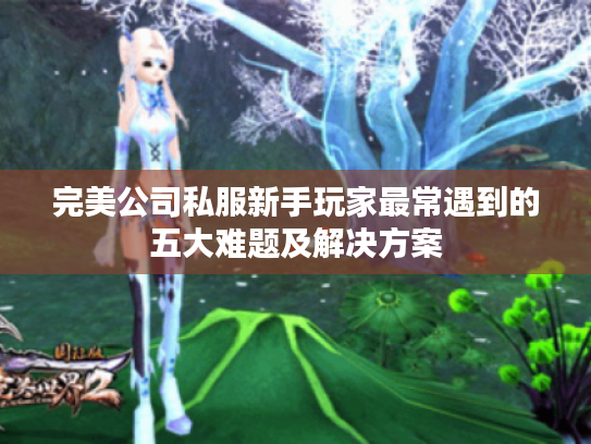 完美公司私服新手玩家最常遇到的五大难题及解决方案