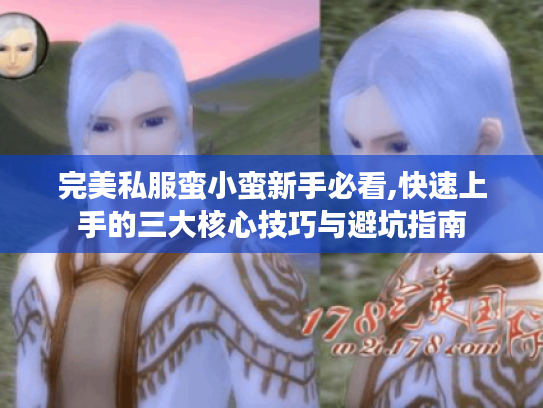 完美私服蛮小蛮新手必看,快速上手的三大核心技巧与避坑指南