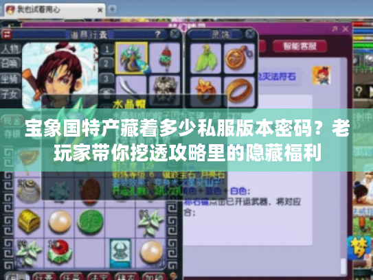 宝象国特产藏着多少私服版本密码？老玩家带你挖透攻略里的隐藏福利