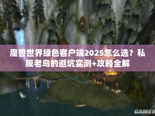 魔兽世界绿色客户端2025怎么选？私服老鸟的避坑实测+攻略全解