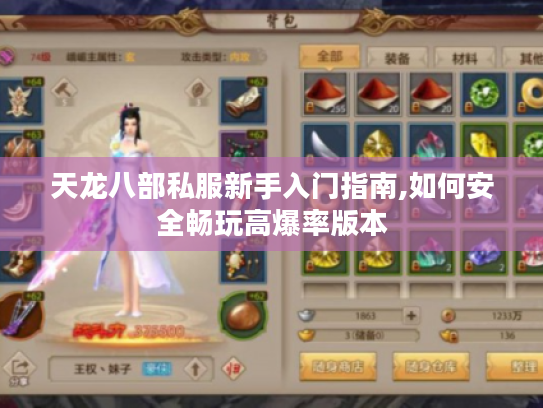 天龙八部私服新手入门指南,如何安全畅玩高爆率版本