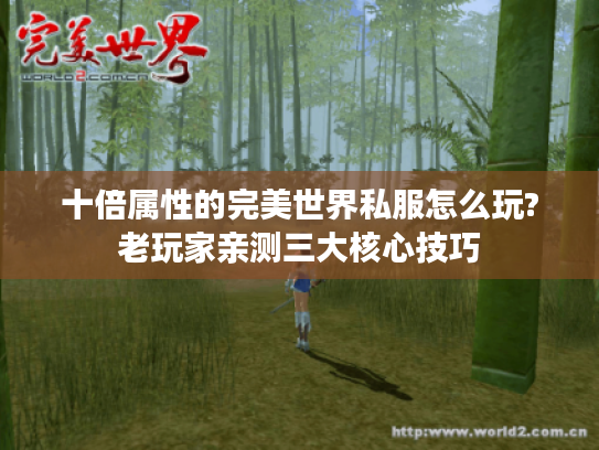 十倍属性的完美世界私服怎么玩?老玩家亲测三大核心技巧 十倍属性的完美世界私服怎么玩?老玩家亲测三大核心技巧