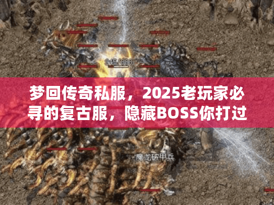 梦回传奇私服，2025老玩家必寻的复古服，隐藏BOSS你打过几个？