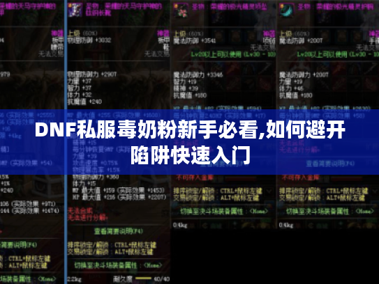 DNF私服毒奶粉新手必看,如何避开陷阱快速入门