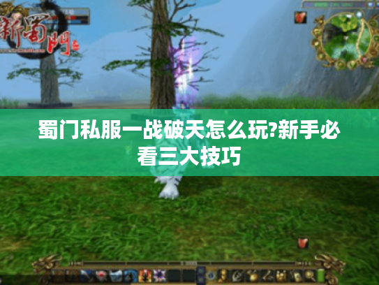 蜀门私服一战破天怎么玩?新手必看三大技巧