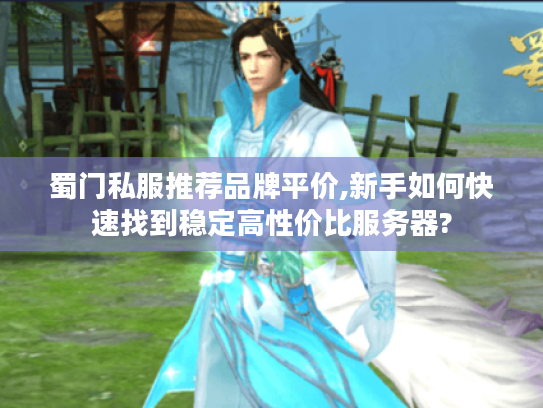 蜀门私服推荐品牌平价,新手如何快速找到稳定高性价比服务器?
