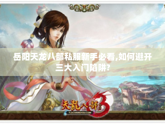 岳阳天龙八部私服新手必看,如何避开三大入门陷阱?