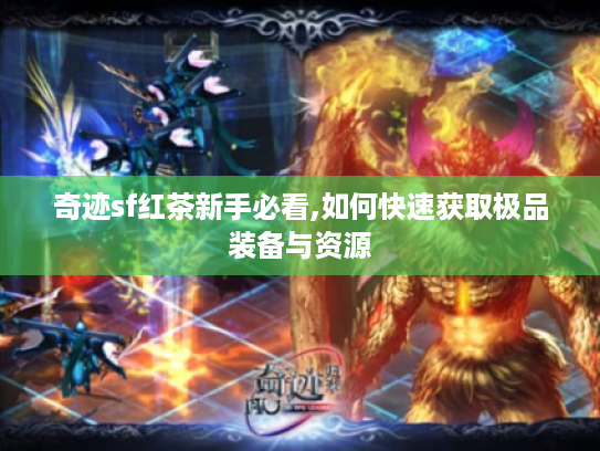 奇迹sf红茶新手必看,如何快速获取极品装备与资源