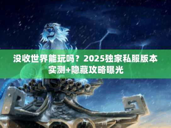 没收世界能玩吗？2025独家私服版本实测+隐藏攻略曝光