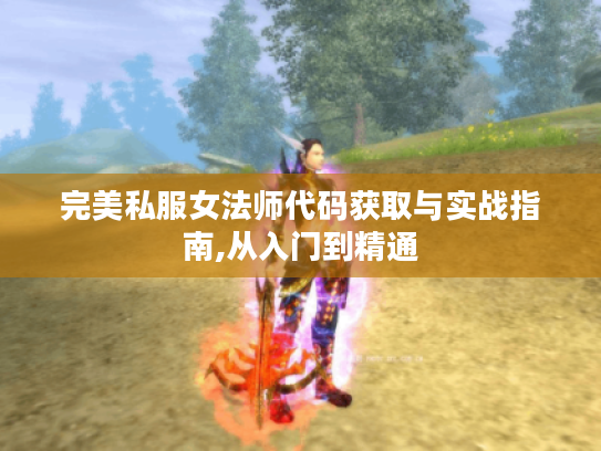 完美私服女法师代码获取与实战指南,从入门到精通