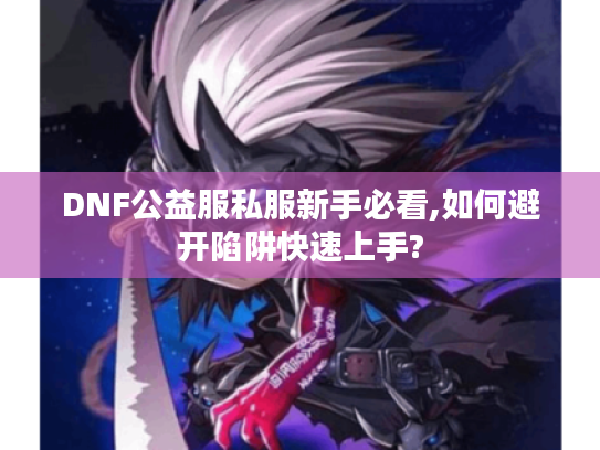 DNF公益服私服新手必看,如何避开陷阱快速上手?