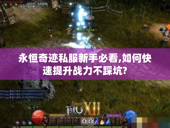 永恒奇迹私服新手必看,如何快速提升战力不踩坑?