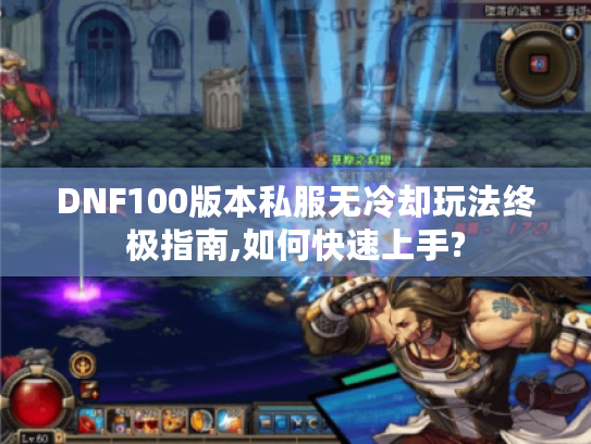 DNF100版本私服无冷却玩法终极指南,如何快速上手?